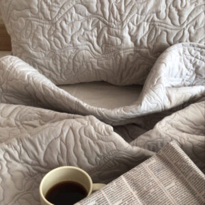 Moderna Cotton Quilted Bedspread