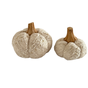 Ivory Decorative Pumpkin (Set of 2)